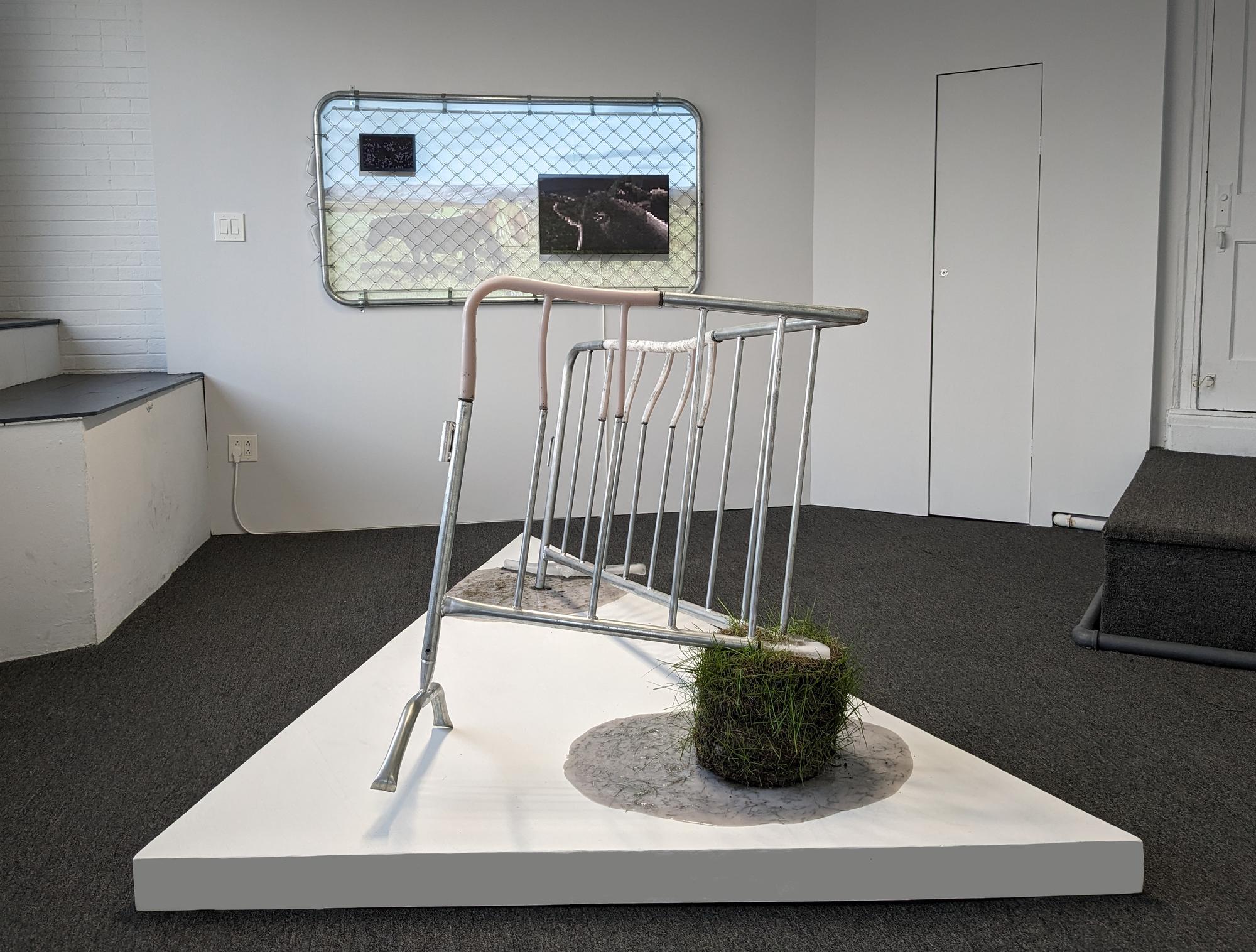 Courtney Mackedanz: Almost Like a Pasture